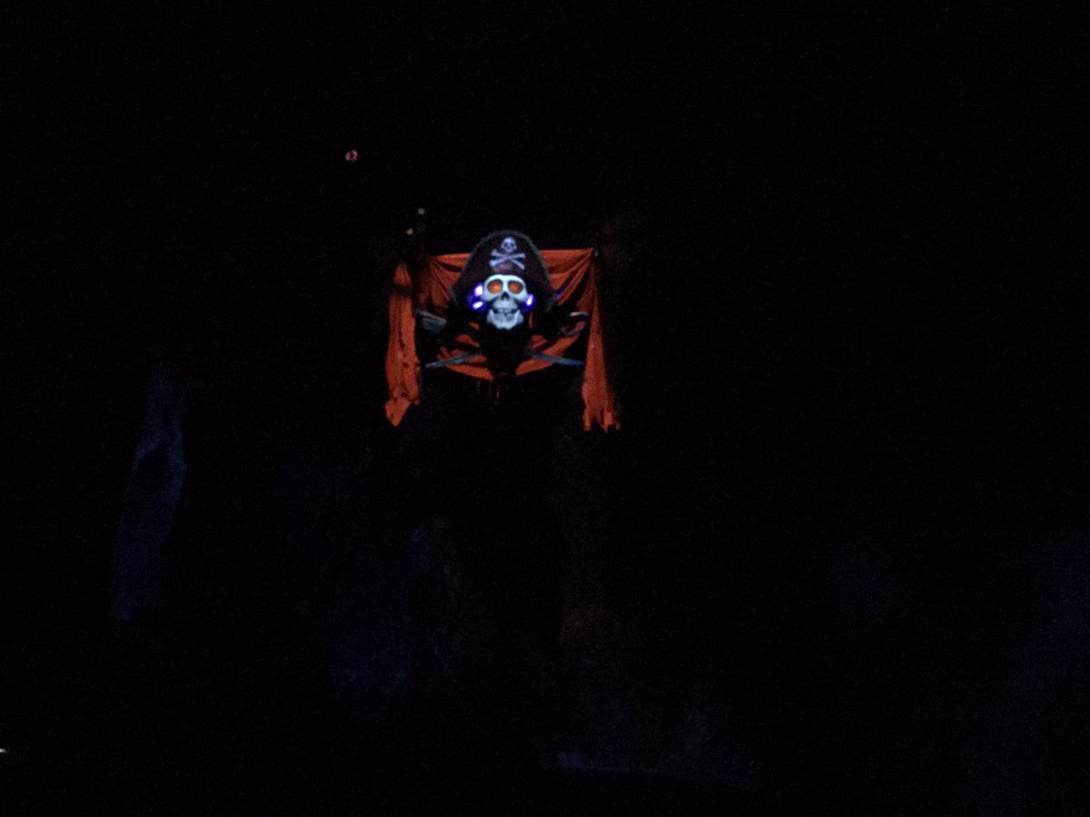 aaronhgoldberg's tweet photo. There's nothing like getting stuck on #piratesofthecaribbean & have this flash in your face every 15 secs. #WaltDisneyWorld #savetheretina https://t.co/BZSKdHTGEk
