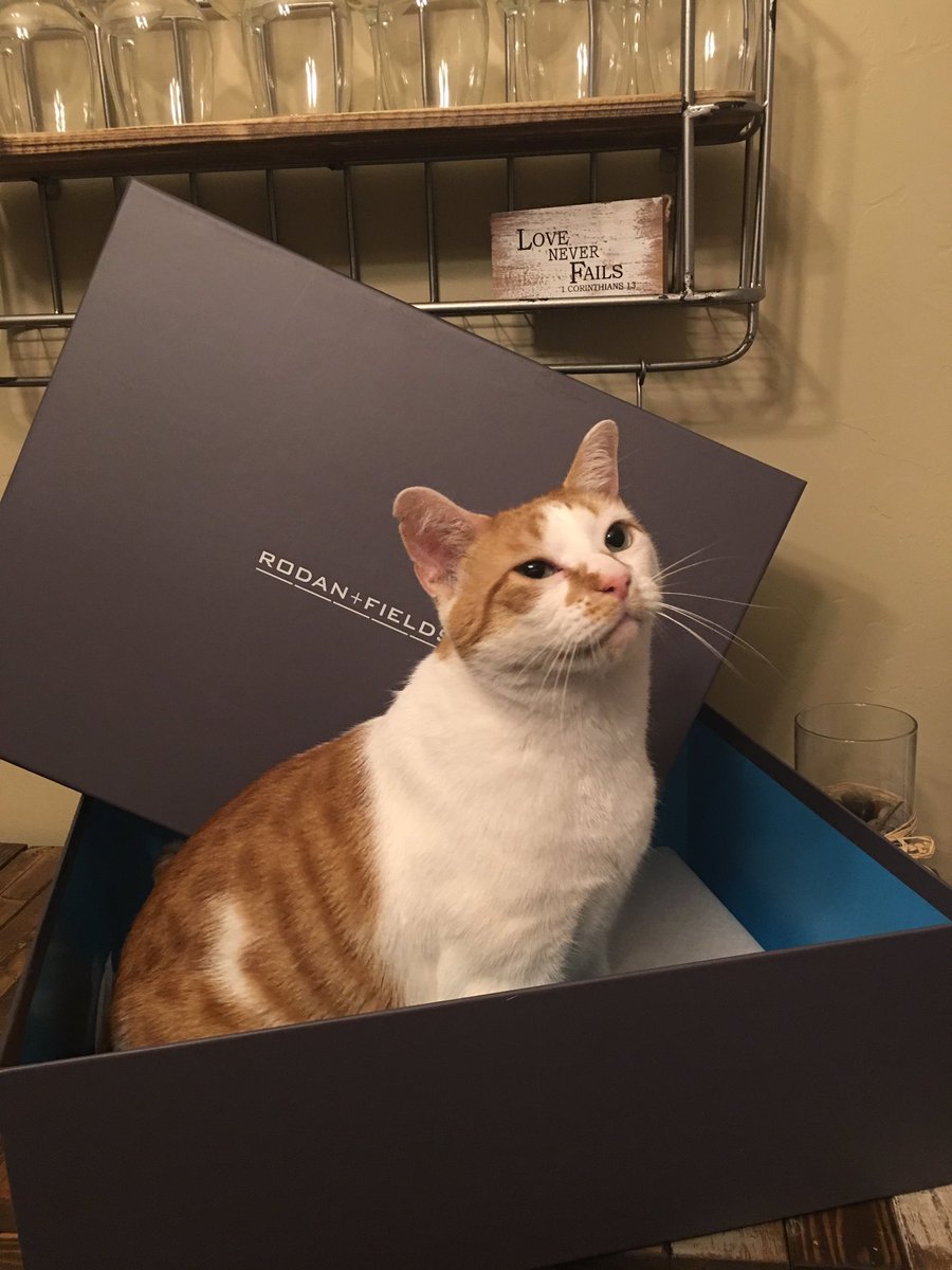 nikkiduvall73's tweet image. Super excited get my #ogiobackpack today!  My rewards for washing my face &amp;amp; sharing my story!  Join me!