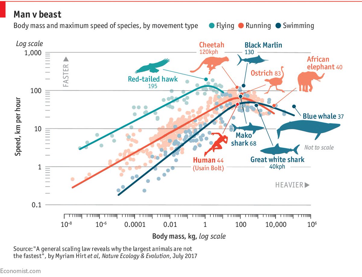 Animal Speed Chart