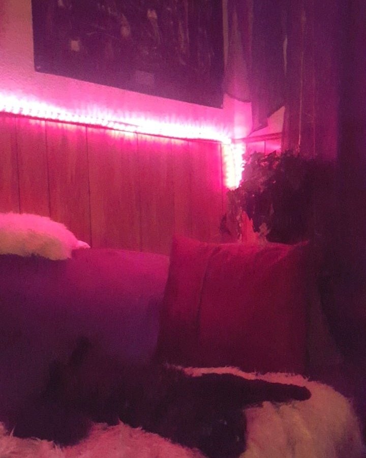 dream__alien's tweet photo. Zefa has got it right.
Great spot to bliss out ๐ฎ
#blissmode #ledmymind #purrmeow https://t.co/ZapTRPGPma