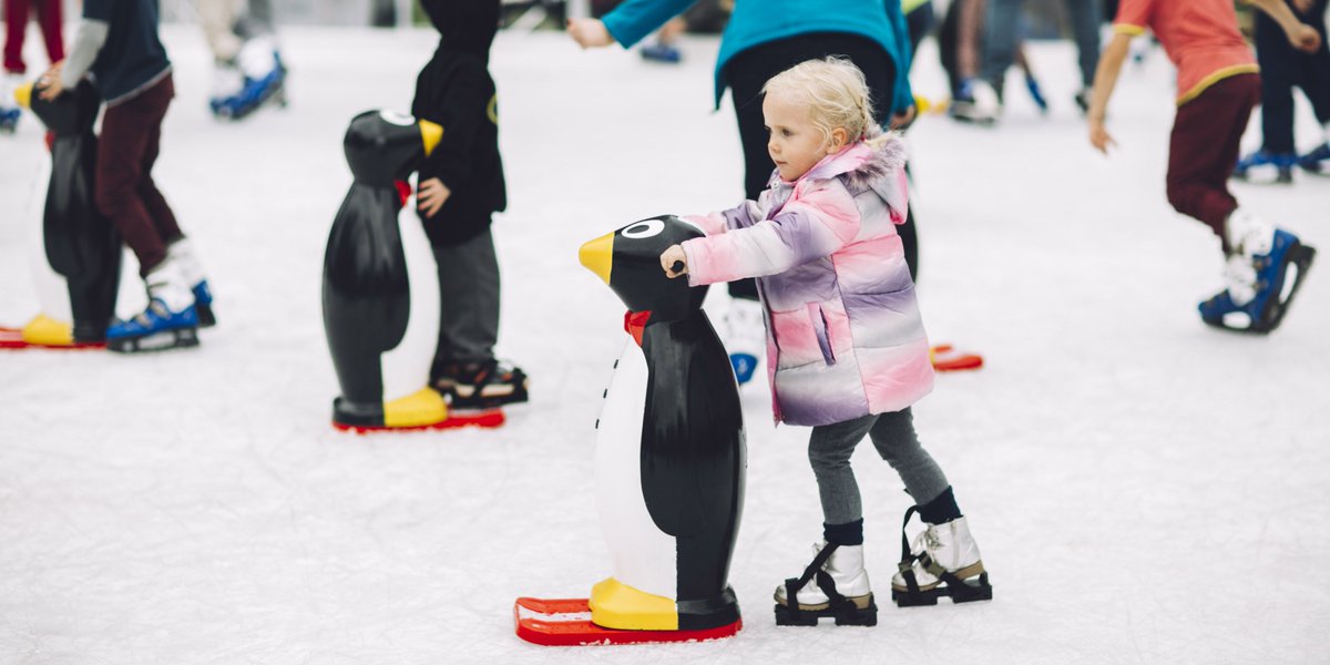 cityportphillip's tweet photo. Check out the Winter Garden at #StKilda Triangle before it closes this Sunday! https://t.co/u8xOTmkB3G #CoPPEvents https://t.co/tA07M7Uumx