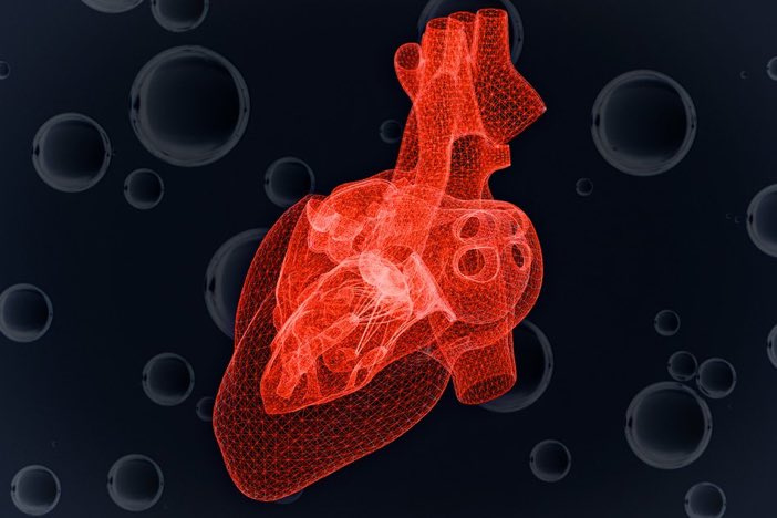 vincentmenezes's tweet photo. Study from @mitmeche,
@mitdeptofbe finds
#hearts 💕
#willgoon...
even under
#extremeoxygendeprivation...
https://t.co/s0YDixKKd3 https://t.co/uMtPf1trb1