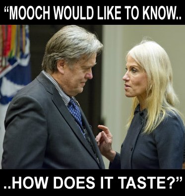 trolls4thelols's tweet image. Latest leak from the @WhiteHouse. Thank you @realDonaldTrump for blessing us with the inquisitive mind of @scaramuicci. #howdoesit #MAGA