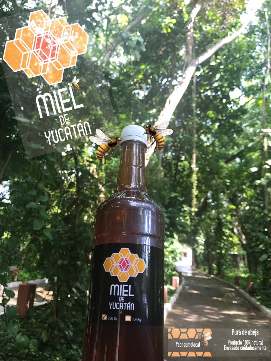 Almalosa_mx's tweet photo. Visita ➡️ https://t.co/fwBI4wfTaa consume #miel #consumelocal #apicultura #uncapping #honey #abejas #bees  #beekeeping https://t.co/Dkm37yrdC0