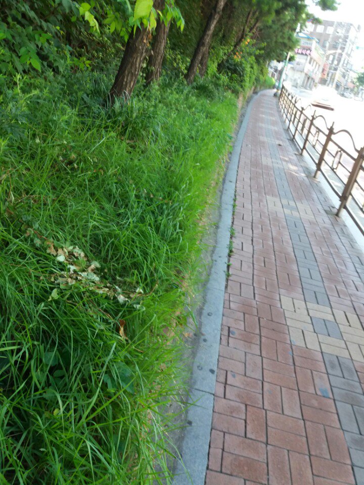 7.27(목) 단남아파트 앞 인도변 잡초 및 환경정비 완료했습니다.
#성남시