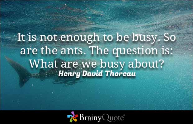 theNSLS's tweet photo. #theNSLS #Success #Action #Purpose #SharkWeek #ThoughtThursday https://t.co/ALfnb42HyT