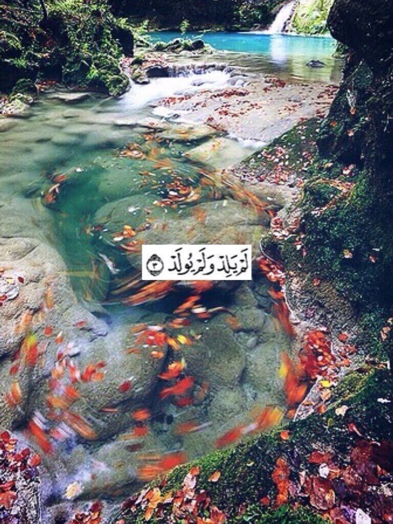 أ. مشاري الفرّاس tweet media