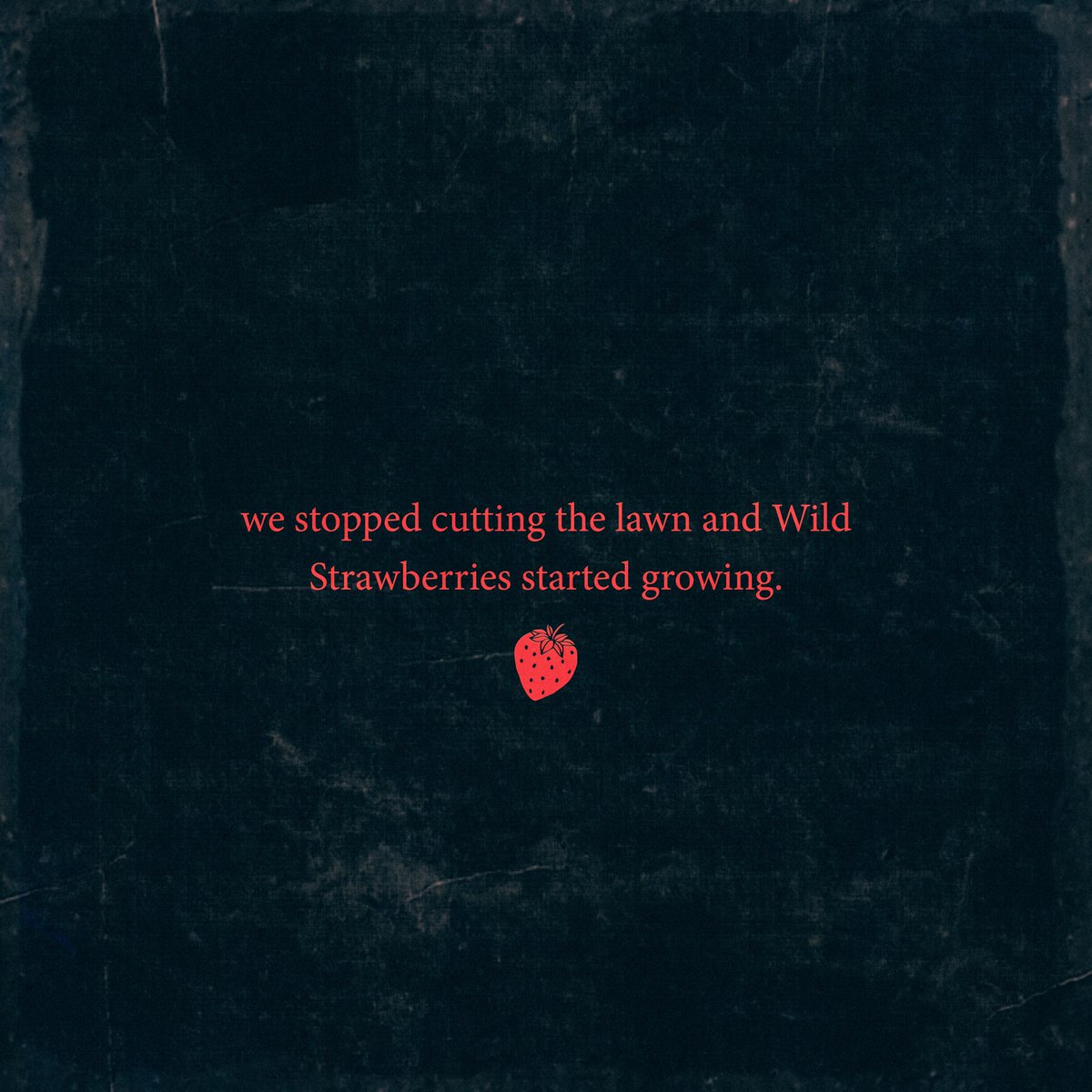 fellythekid's tweet photo. Wild Strawberries. My debut album. Available everywhere 8/18. https://t.co/vLkyEGk2UT
