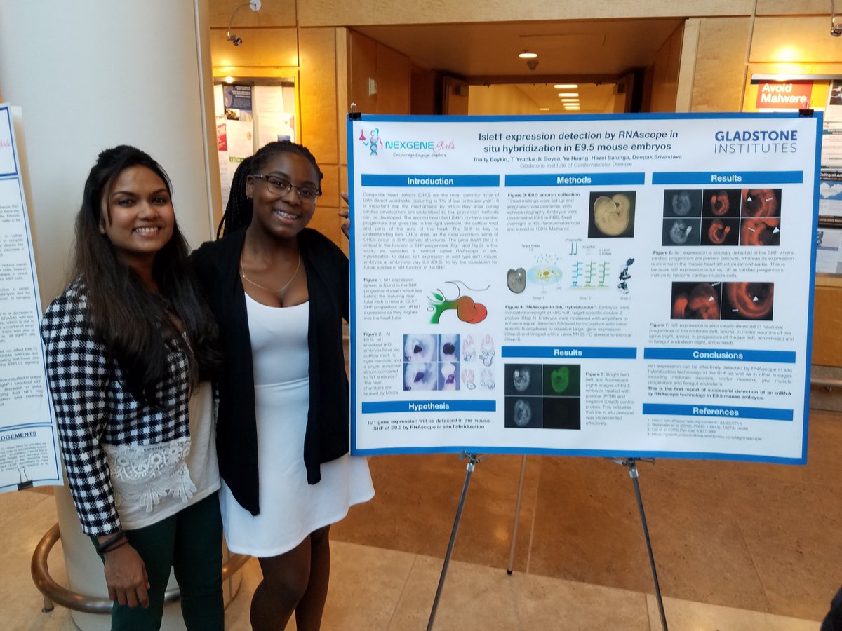 GladstoneInst's tweet photo. Gladstone is proud to be represented @UCSF @NexGeneGirls event. #SrivastavaLab member Yvanka.Desoysa & intern Trinity Boykin w/ her poster! https://t.co/tn977e1STP