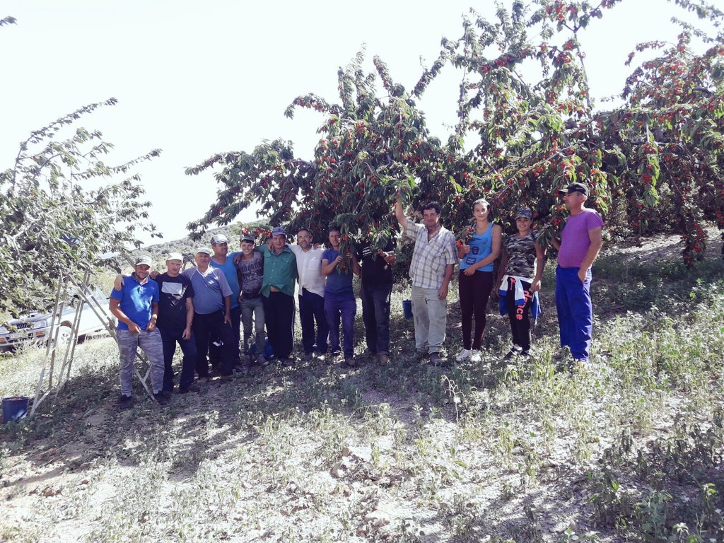 uagapenella's tweet photo. FIN campaña Cereza.
Falda de Sierra de la virgen1100m (Ibérica Zarag)
Aniñon (Calatayud)
Variedad: Sweet Herat
Corazón dulce
#ConsumeFruta https://t.co/ho9HUJ0dKq