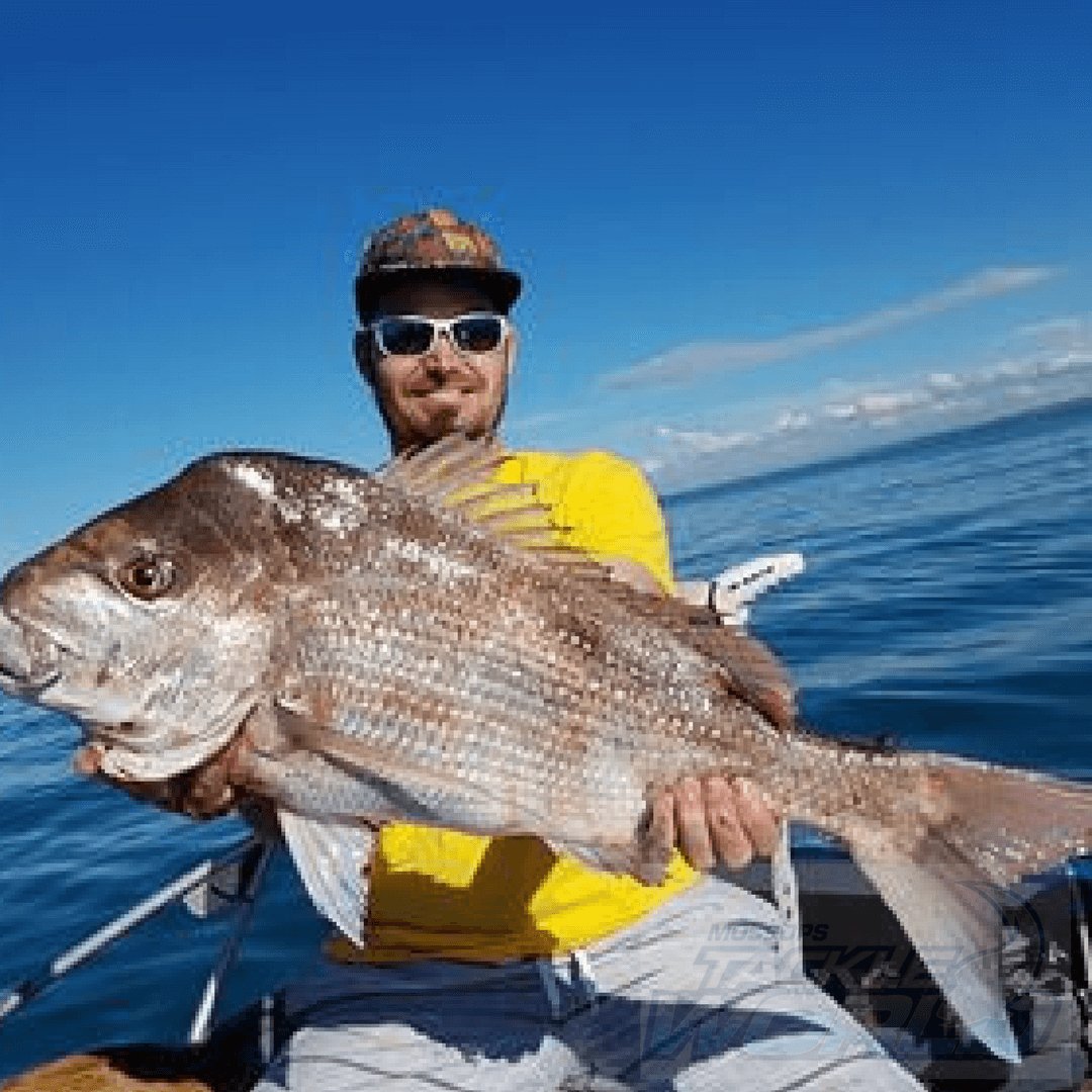 MossopsFishing's tweet photo. Mossops #TackleWorld showing off your love of 'that catch' #fishing right around #Australia. https://t.co/SPKyiHRXDv https://t.co/vQPlNgG82X