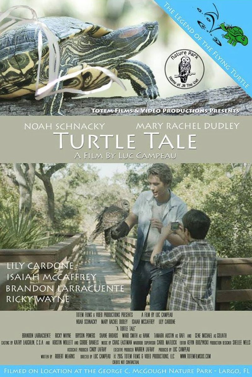 TurtleTaleMovie's tweet photo. Hello Toronto!  Talking turtles coming to a theater near you September 16-17, 2017 @CIFF2017 #TurtleTaleMovie https://t.co/W6wKLBQgpa