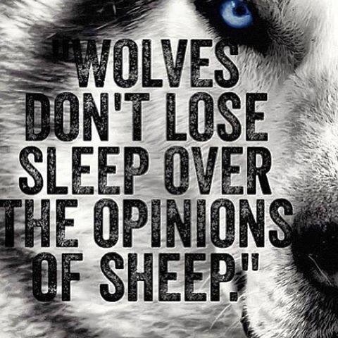 Rey_Lumpkin's tweet photo. They say don't sleep when you tired sleep when you done . 🐺#WolvesVsSheep #wolvesMindset #Awoken #VibrateHigher #SpiritualAnimal #BeastMode https://t.co/U0BfqLJzLJ