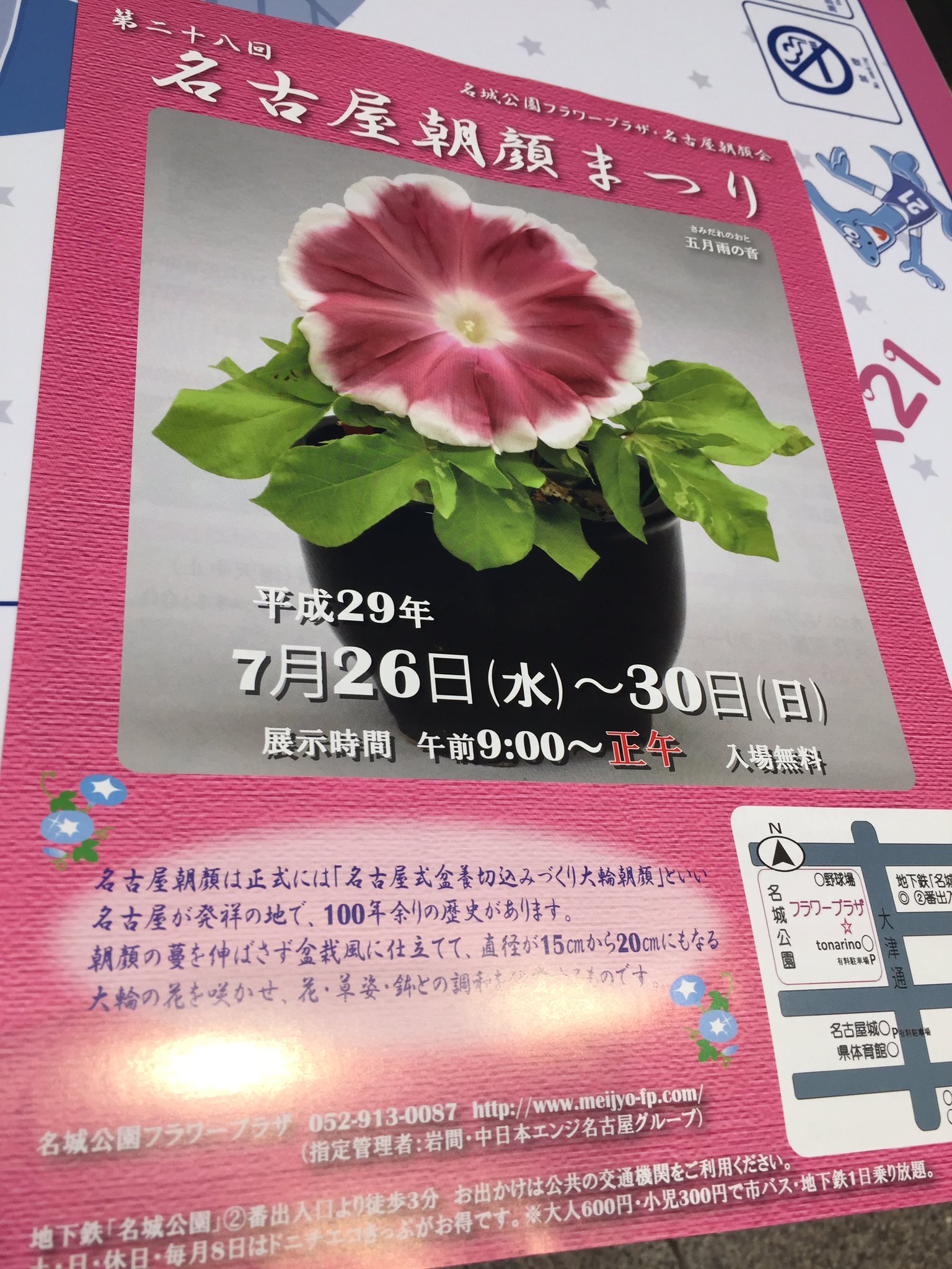 おいでよ名古屋 おいなご 名古屋朝顔まつりが開催中の 名古屋においでよ ところで 私は学生の頃に 夏休みの宿題は朝の涼しい うちに なんて言われていたけど 涼しい朝なんて今あるの T Co Igmhclszng Twitter