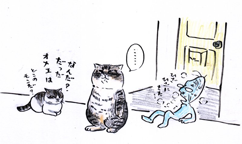 俺はジジイの家が気に入った。
可愛い女の子もいたしね。
(獣医は俺が13歳以上だって言うけど、実は俺、若いんだよ) 