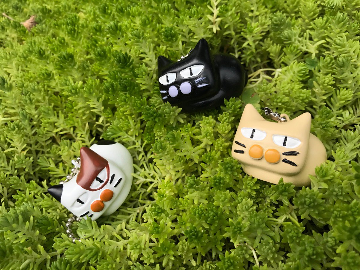 仲間が増えました】新商品のお知らせ〜！ロングセラー商品「ねこ