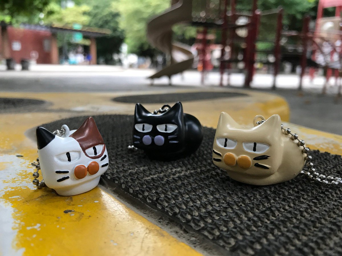 仲間が増えました】新商品のお知らせ〜！ロングセラー商品「ねこ