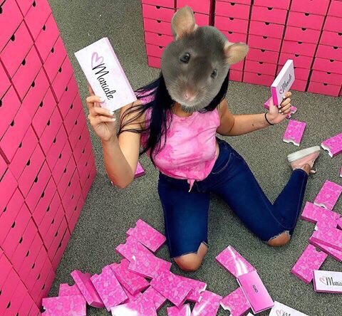mostodeuva's tweet photo. @uggzo #MarialeExperimentaConAnimales ésta debería de ser su foto de perfil... Por ser Ratiale 💩 https://t.co/avFUq4pIDb