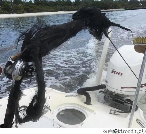 釣竿に雷が直撃すると驚きの物体に変化！雷には本当に注意が必要！