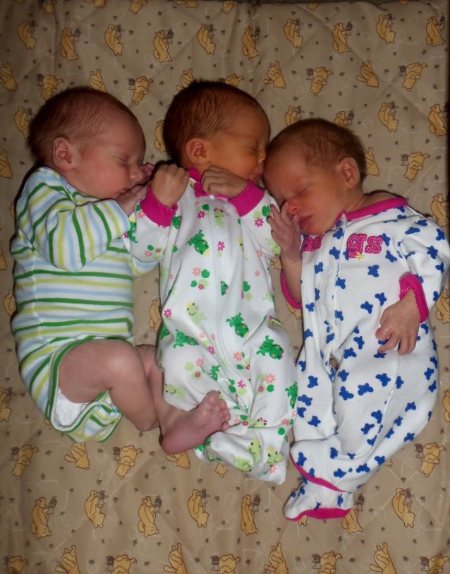 HarryAndLouisHu's tweet photo. “@Harry_Styles: Louis is asleep, it's 4:42 am and I'm just here to announce Eli, Adam and Sam are 10 weeks old :).” https://t.co/C8oPCqBWnw