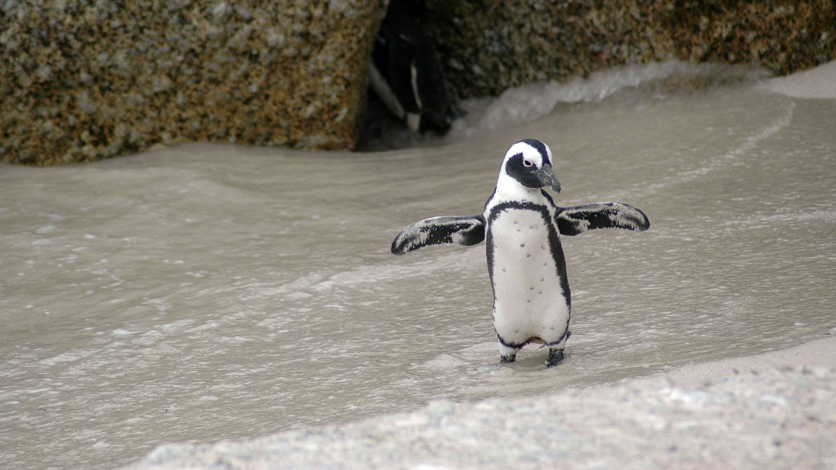 b2zone_COM's tweet image. #b2zonemagazine Columne Free Mind pioneers magazine.b2zone.com/the-digital-ex… #art #artist #artists #b2zone