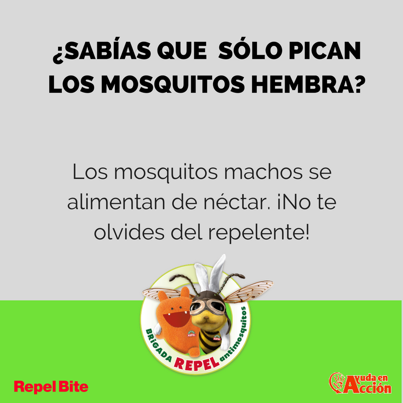 AfterBiteEs's tweet photo. Los mosquitos (o las mosquitas) no descansan. ¡Usa un buen repelente con como Repel Bite y mantenlos a raya! #BrigadaRepel2 https://t.co/dOwhpM9RfV
