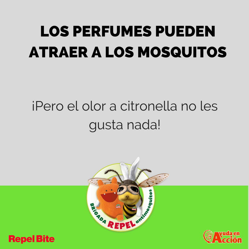 AfterBiteEs's tweet photo. Plantas como la citronella o la albahaca pueden ahuyentar a los mosquitos. ¡Pruébalo! #BrigadaRepel2 https://t.co/MmBPzJwMck