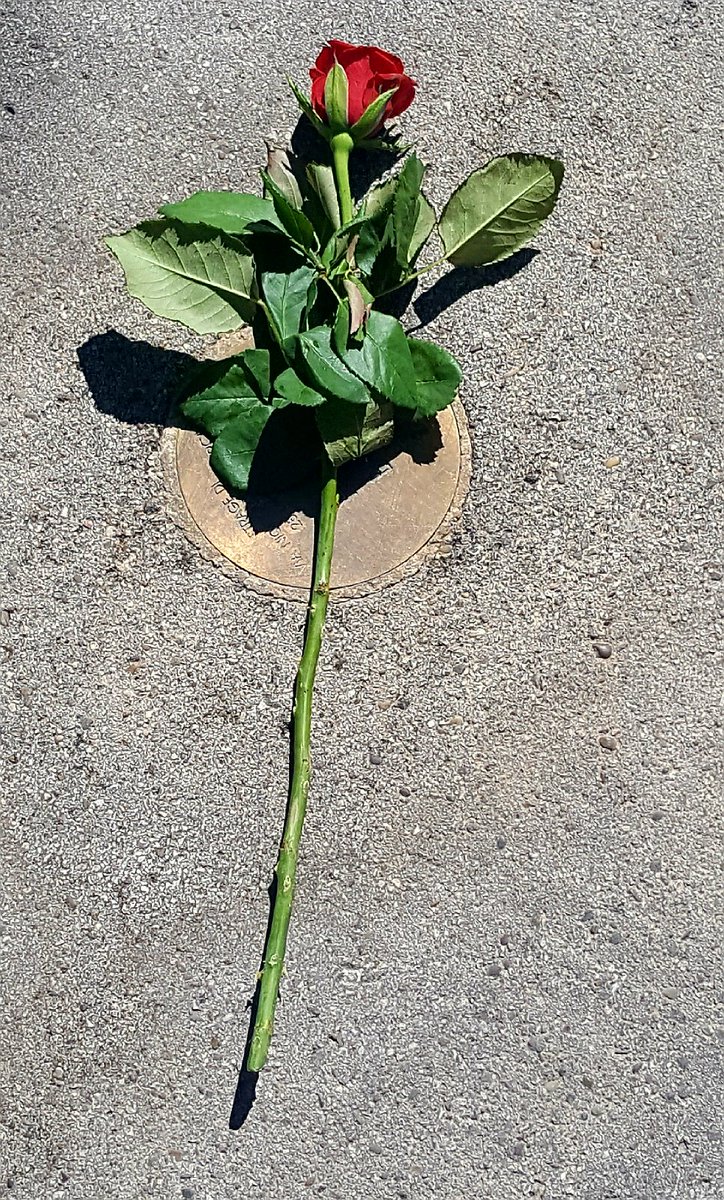 micaela_papar's tweet photo. 28 luglio 1943 strage di via Niccolò dell'Arca studenti operai docenti studenti cittadini vittime di una strage folle da parte dei fascisti https://t.co/HVa56po6R1