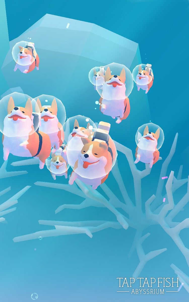 Twitter 上的 ゲー風 コーギーたん可愛すぎ ˊ艸ˋ なんでそんなに幸せそうな顔するの 見てるだけで幸せになる子達だぁぁ Abyssrium アビスリウム T Co Dwmdxwvs3r Twitter