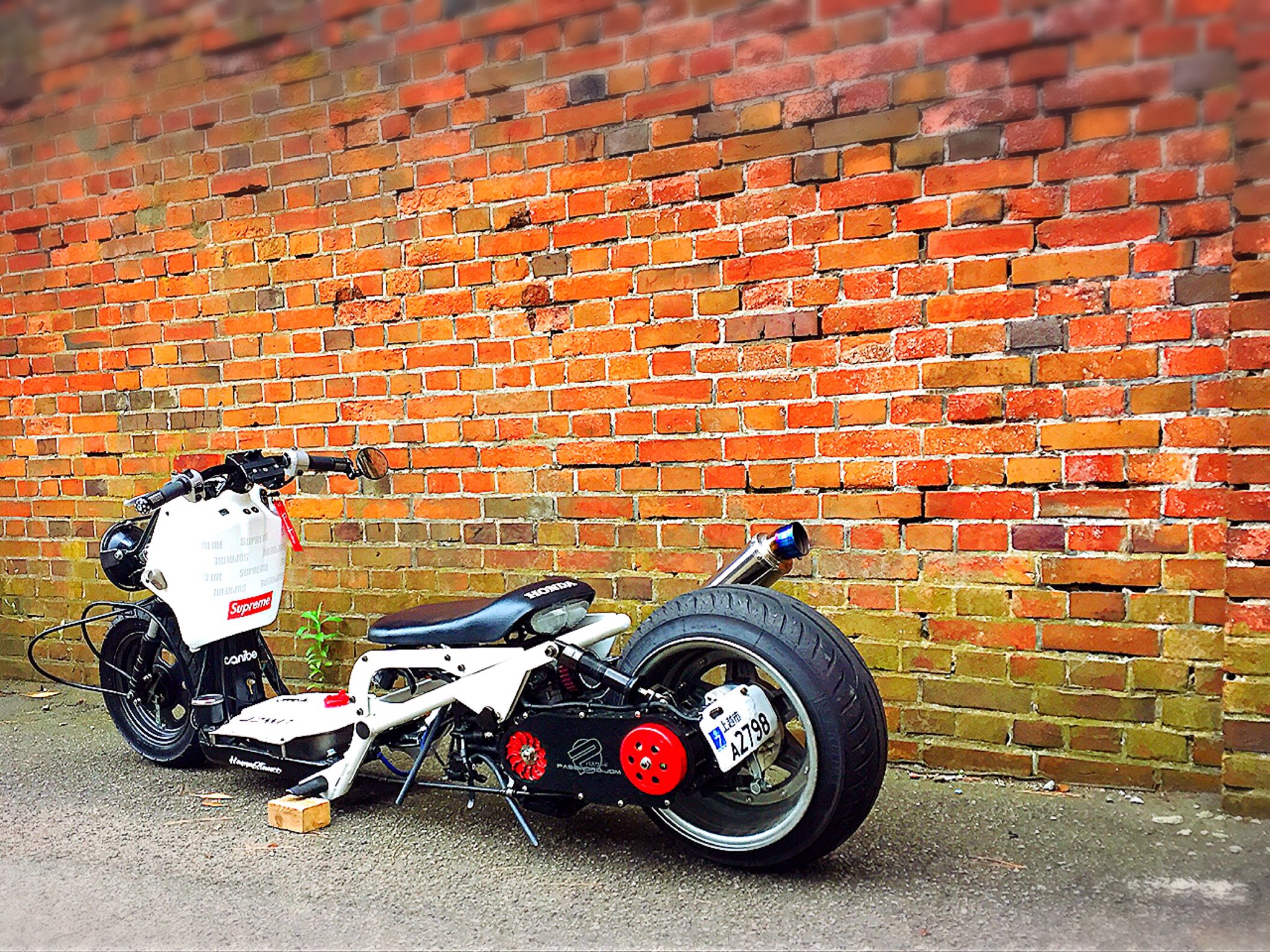 ZOOMER/ruckus ズーマー ネックカバー004 2025年最新】ruc ズーマーの