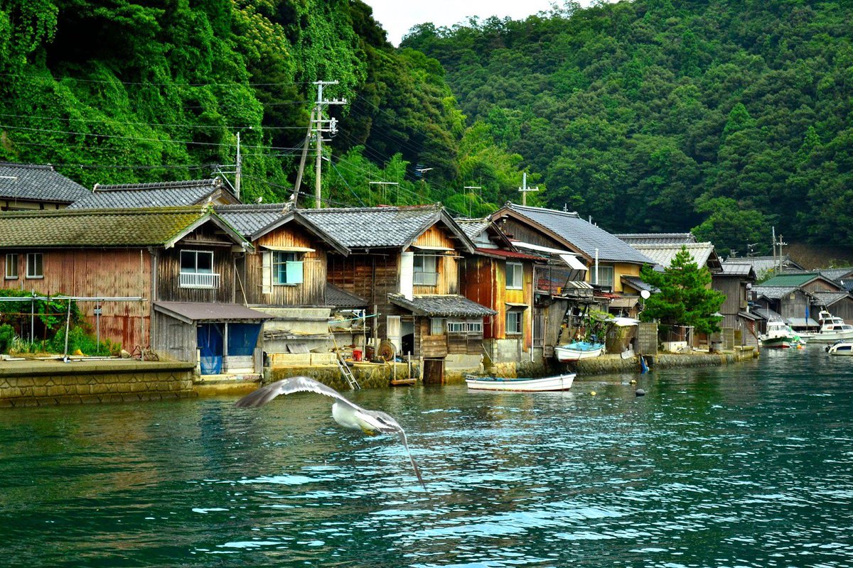 TourankApp's tweet photo. Ine Town in Kyoto, a traditional fishing town living by the sea. #Japan #kyoto #travel #fishing #Town #FridayFeeling #Japanese #seaside https://t.co/hnMb8PkbBY