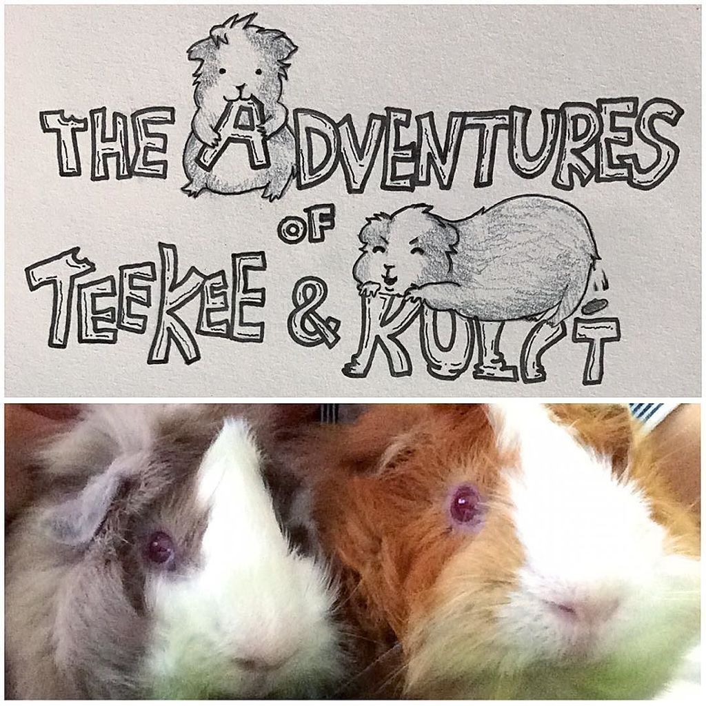 mxyplytx's tweet photo. Teekee and Kulit in all their glory. Here comes a journey of command and conquest. Comic work in progress.
.
.
.
.… https://t.co/PZJNPDNRJi https://t.co/AqEPWvJlnz
