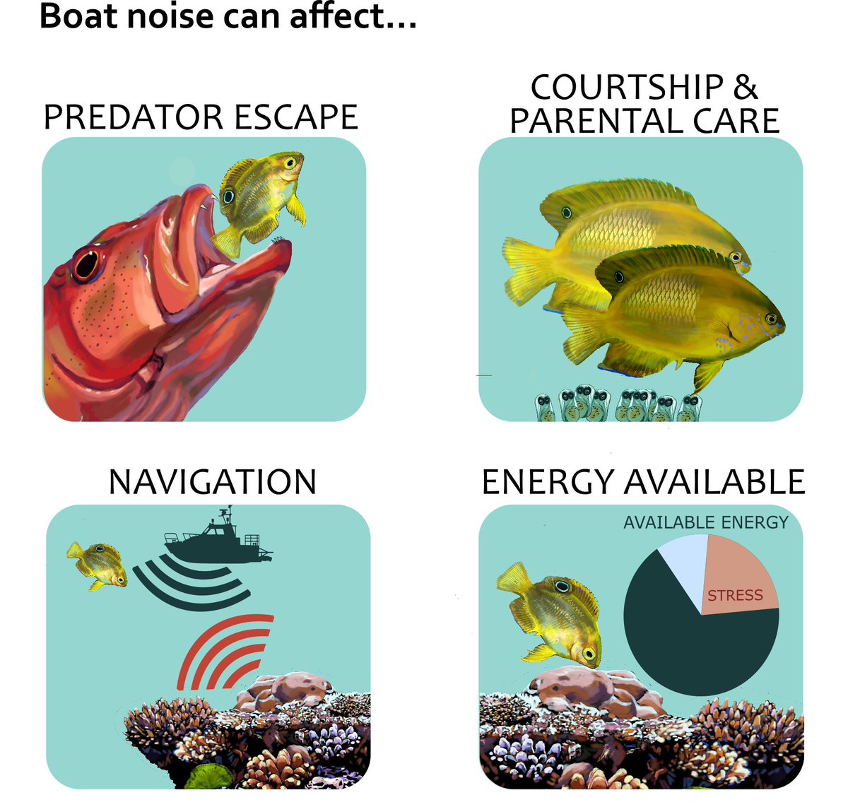 WiseArtSofiaJS's tweet photo. Illustration effects of boat noise on fish. #scicomm #artaboutscience #Rummerlab #McCormicklab #fish #sound https://t.co/JDqXVaZhIX