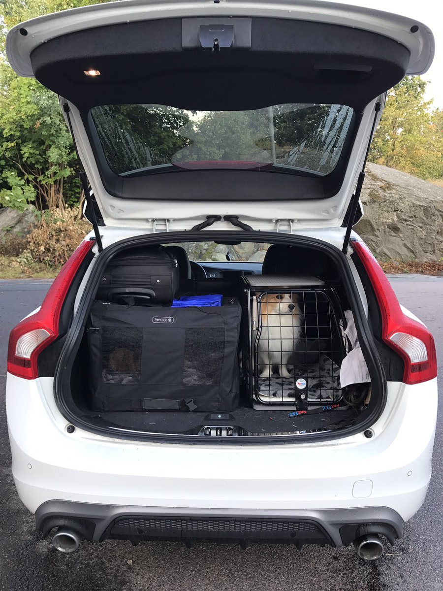 Wahlgren_80's tweet photo. Roadtrip 😍📸😊🐶 #mudlifeocr #mudlife #dalarna #sportfoto #fotomoije #Optimusärmed ❤️🐶 https://t.co/DSD51hboeC