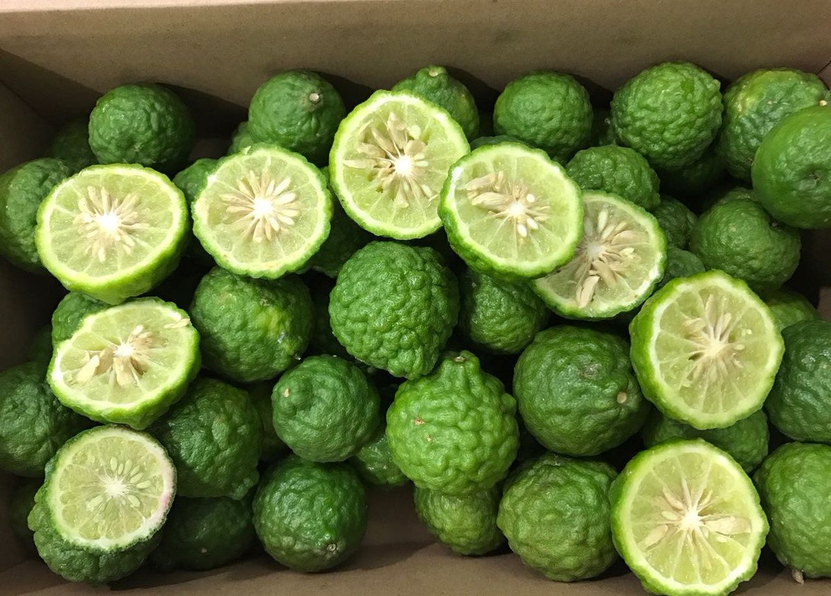 JavaFresh_Fruit's tweet image. 🌞 Summer time 🌞 Let's enjoy some kaffir limes 😋@marchederungis #Rungis #combava #fruitexotique