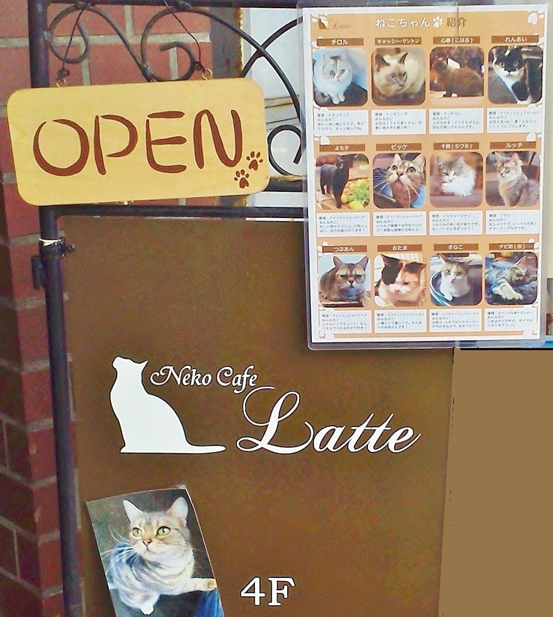 大野田健 V Twitter ねこカフェ latte らて 新潟県長岡市 アオーレ長岡隣 大手通交差点角 安栄館ビル4f 上越新幹線 長岡 駅西口徒歩3分 福招く可愛いネコちゃん達に会いに行こう 赤ちゃん じさばさgo 県立動物愛護センター猫ちゃん里親探し 大野田健 V Twitter ねこカフェ latte らて 新潟県長岡市 アオーレ長岡隣 大手通交差点角 安栄館ビル4f 上越新幹線 長岡 駅西口徒歩3分 福招く可愛いネコちゃん達に会いに行こう 赤ちゃん じさばさgo 県立動物愛護センター猫ちゃん里親探し