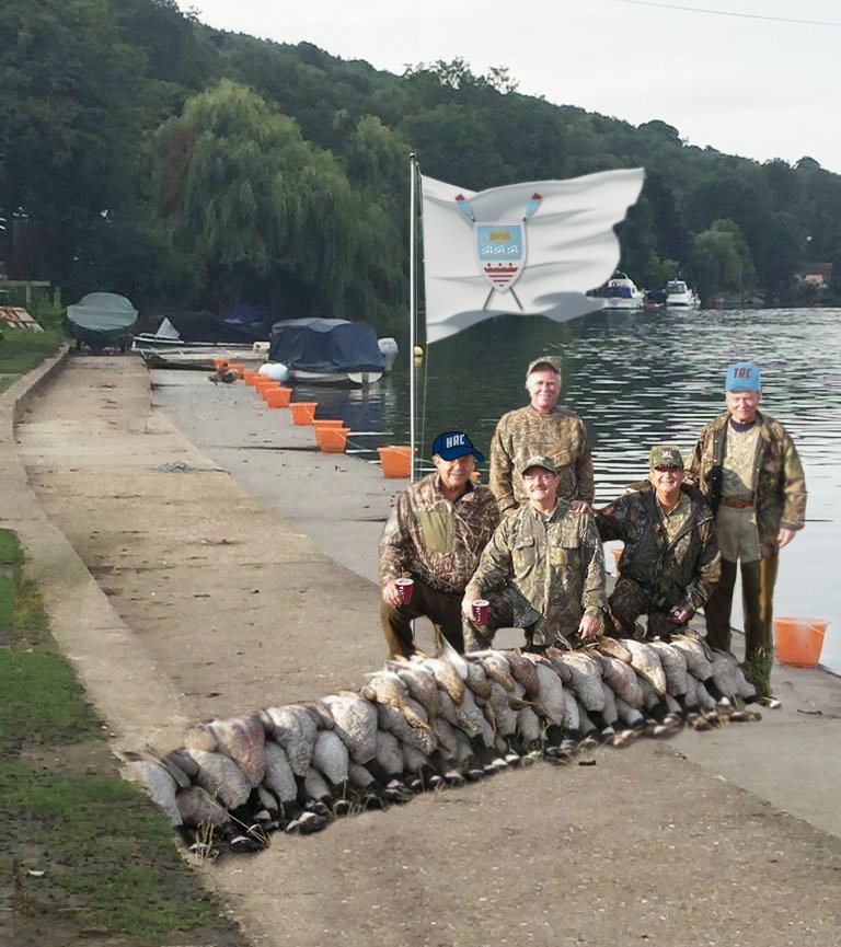 WEROW_Life's tweet photo. @HenleyRC @TeesRowingClub @kendraquinn12 @dithena @madsthedog @Kodi_bear @tkcarter82 @AaronIJackson @katie_kap @LwtEmmaBird @AgecroftRC Very impressed by progress made on the Goose defences at @HenleyRC yesterday following a visit from @TeesRowingClub #teamwork #goosefortea https://t.co/rAR1ZUZ66y