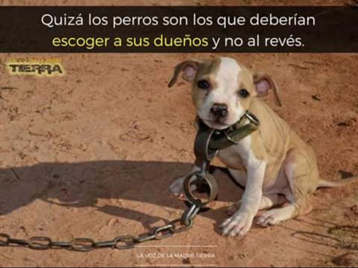 ProyectoFauri's tweet photo. https://t.co/gwkKzFr3md