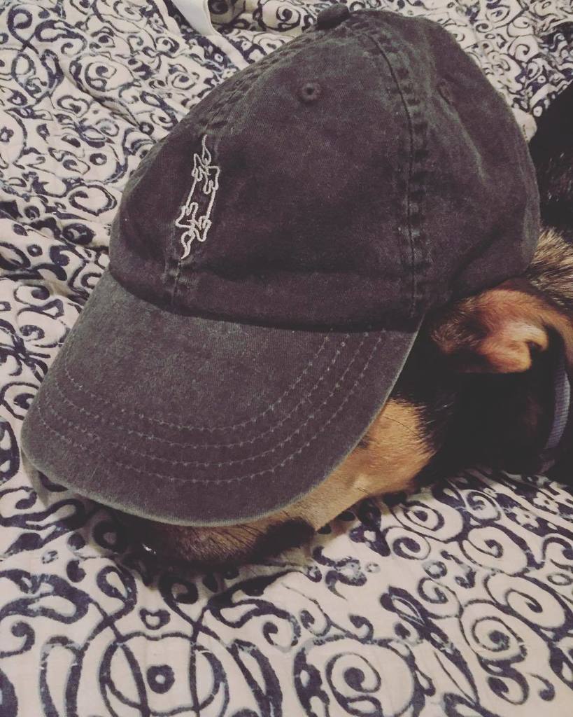 earlyhoursclif's tweet photo. Tiny Rick's been working and playing overtime.. Bout time to chill | #theearlyhours #earlyhoursco #tinyrick #dadca… https://t.co/hgz38Bu5x5 https://t.co/jirlsXbwn4