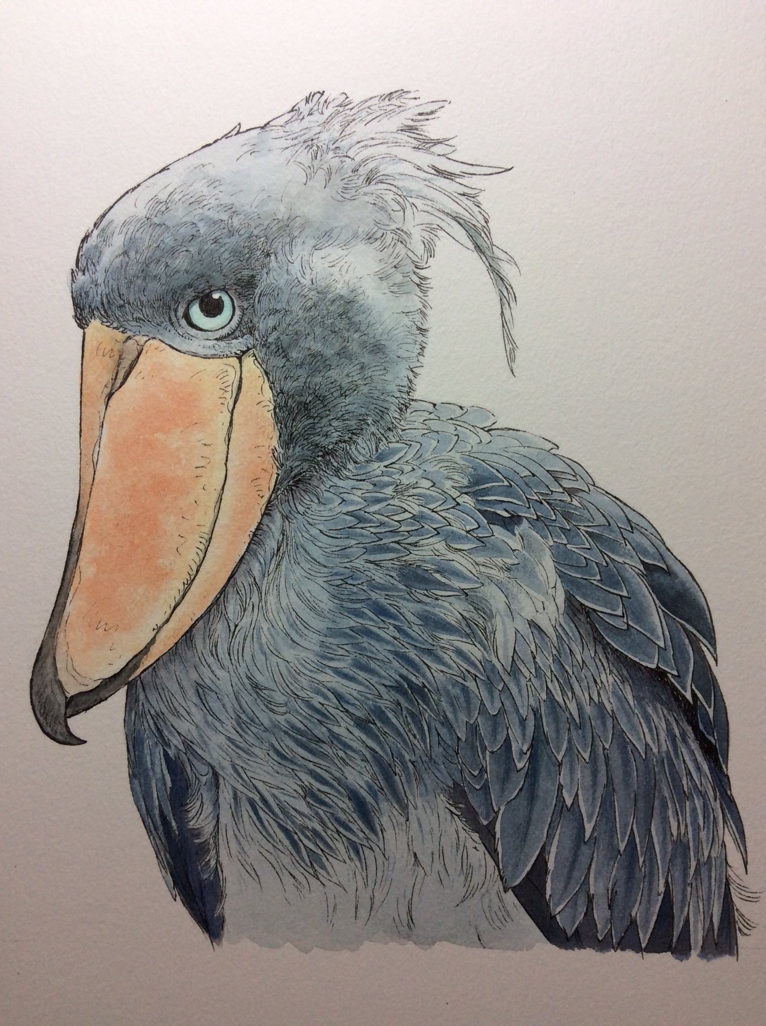 ハシビロコウ【アクリル画】 絵画 絵 原画 キャンバス画 抽象画