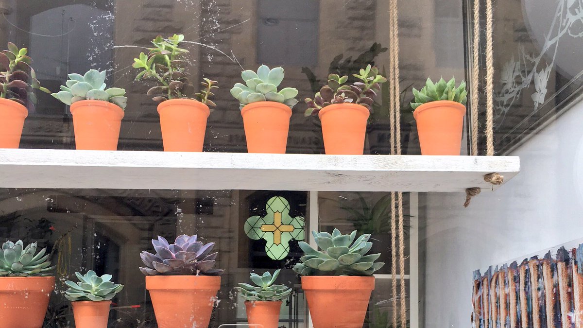 silverststudio's tweet photo. Succulents abound!! 10% OFF during SUMMER SALE . Open Thurs to Sat 11.00 to 5.00. @BoaFoodAssembly @IdealBradford @thegrapesboa https://t.co/hX82KszGYv