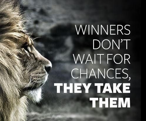 Lion Races tweet media