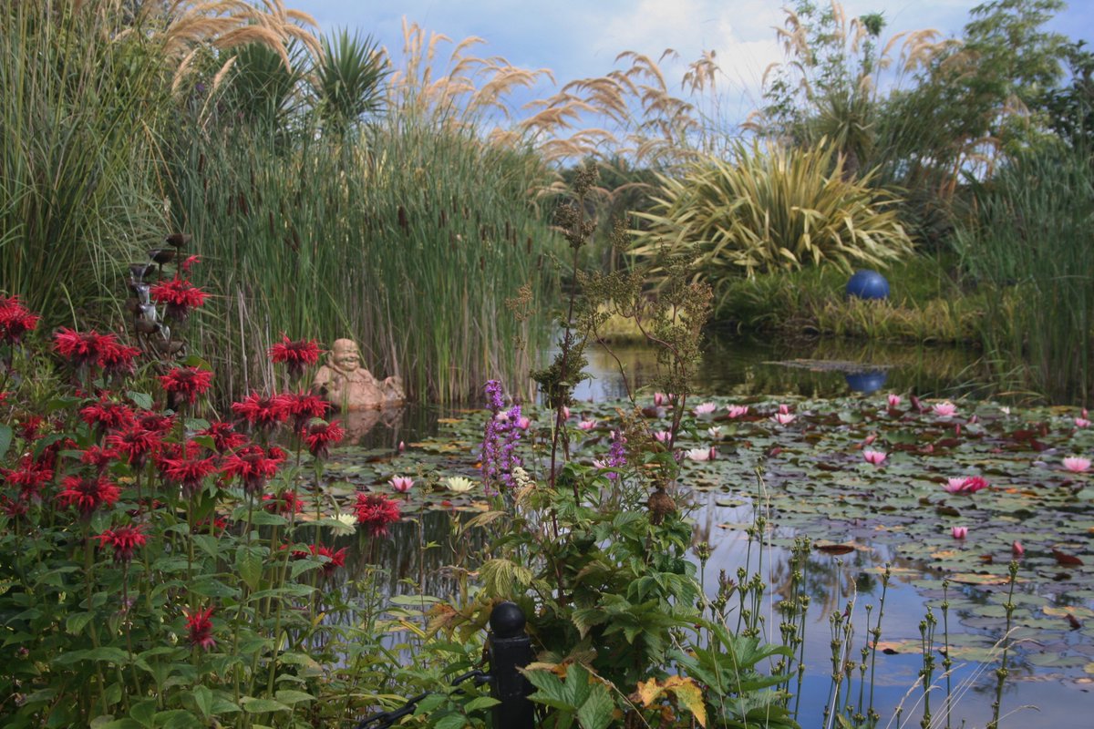 KevJame's tweet photo. Floating Buddha. #garden #jardin #garten #gardening #visitesdejardin #gartenarbeit #gardenchat #ballyhoura #MunsterVales #LimerickTIO https://t.co/zy5Vpdd409