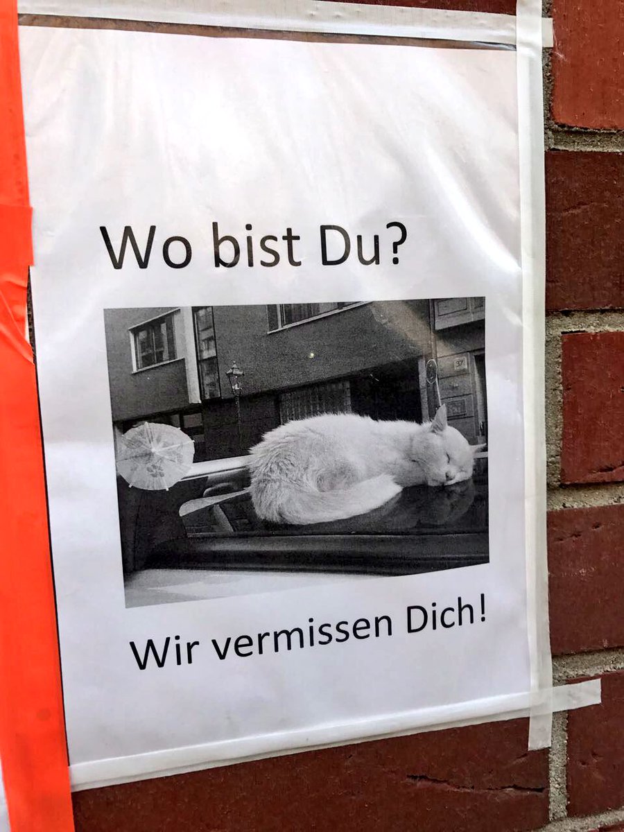 TSPSonntag's tweet photo. "Du hast gelebt wie eine Katze leben sollte." #7life #mulackstraße #mickey4ever https://t.co/9MWud2SPl6