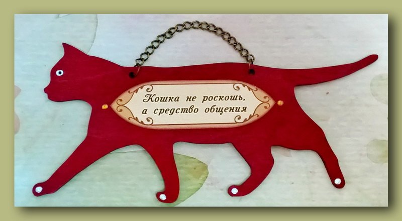 Продолжаем эксперименты с котами ) Летняя #котомания  и #кошкотерапия  для кошкозависимых)