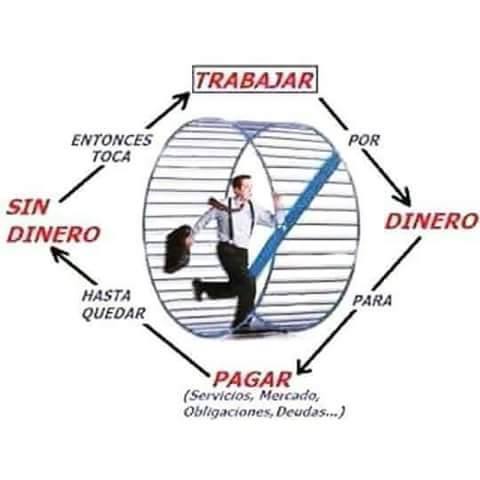 ExitoxMinuto's tweet photo. ✔️ 

Siguenos en @ExitoxMinuto para más contenido de VALOR https://t.co/IIdCrMSpRF