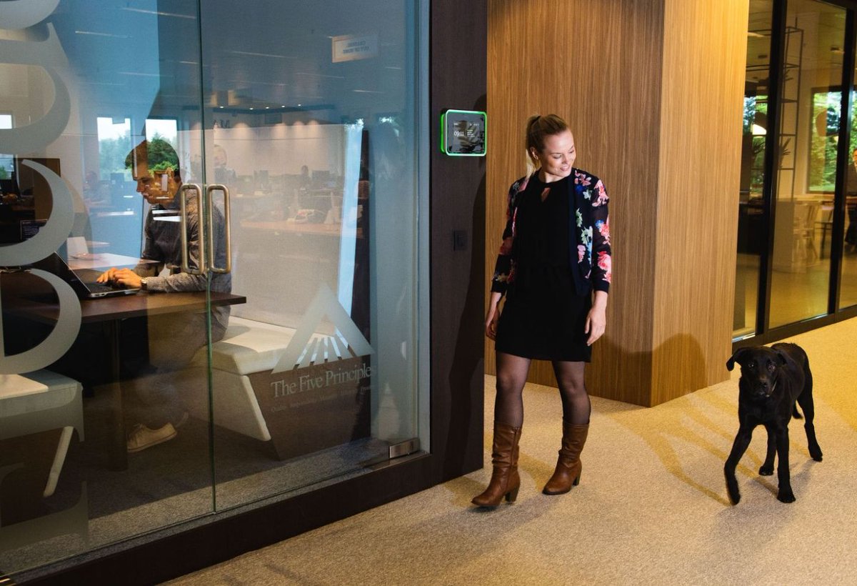 Jobat's tweet photo. Bij Mars gaan werknemers en hun honden samen naar het werk > https://t.co/ung5rbLo76 #jobat #petfriendly #samenwerken #werkprivébalans https://t.co/L2vSAgV4s0