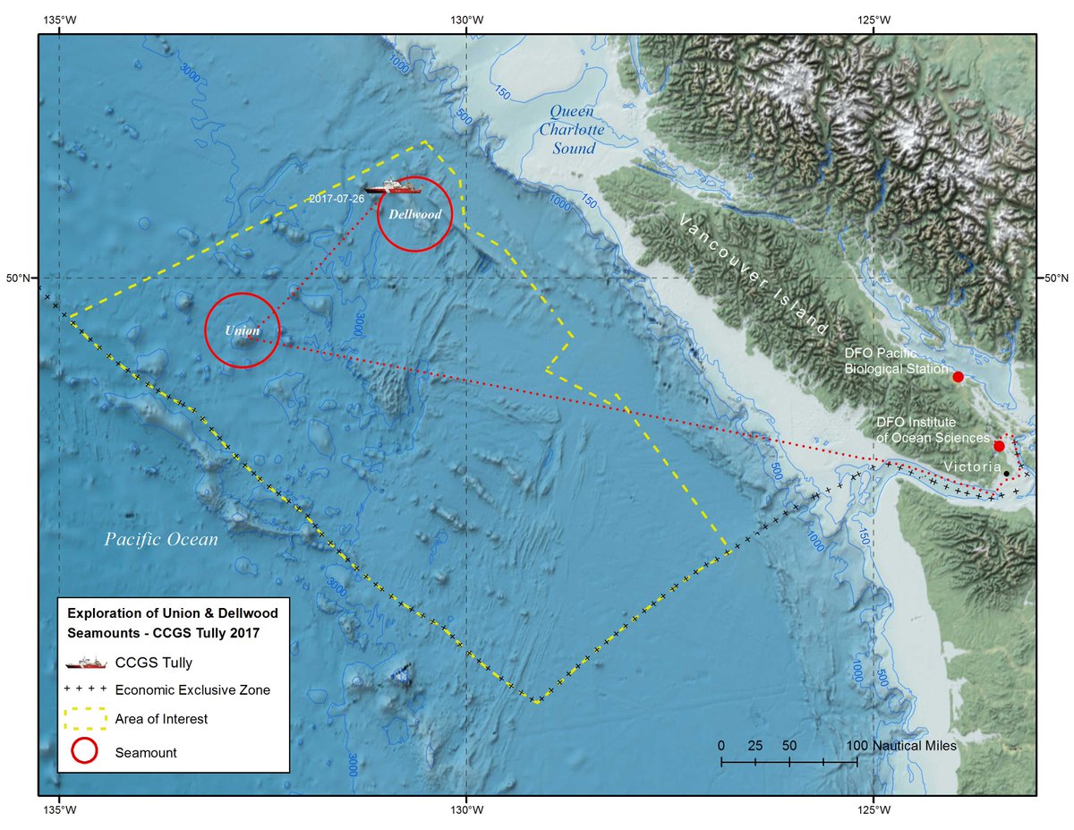 Michelle MacEwan tweet media