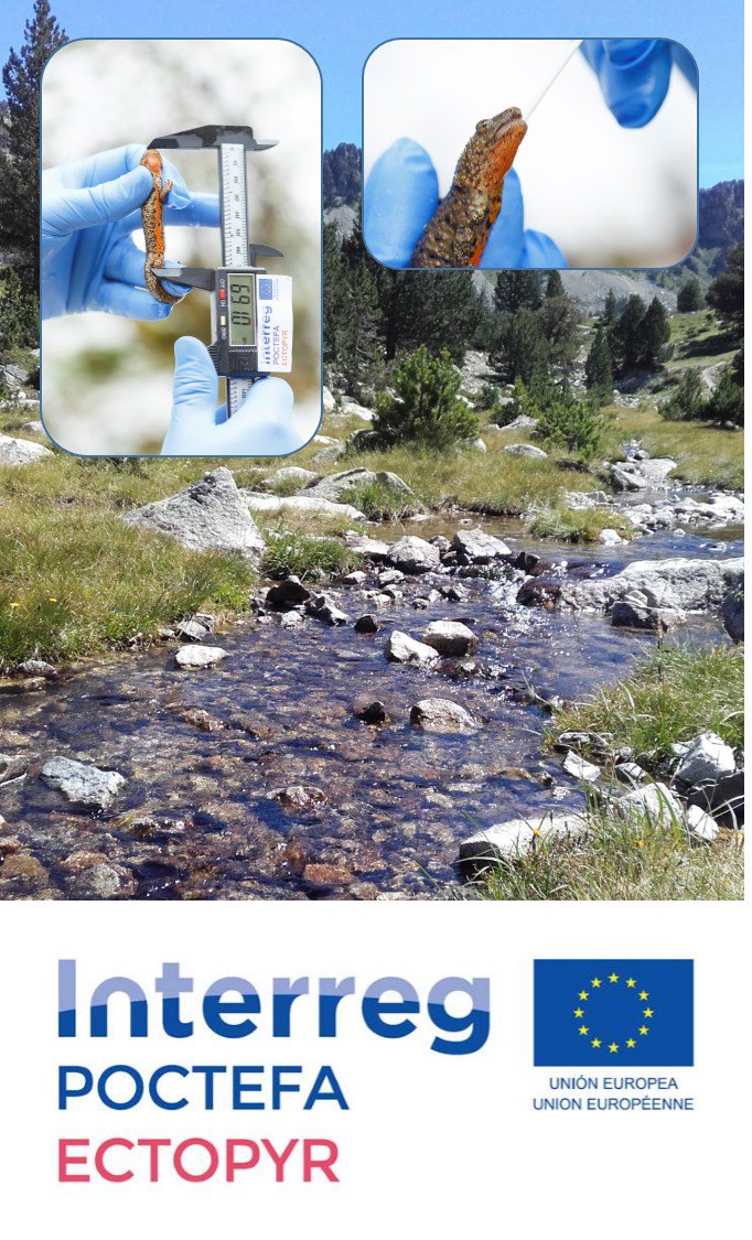 POCTEFA ECTOPYR tweet media