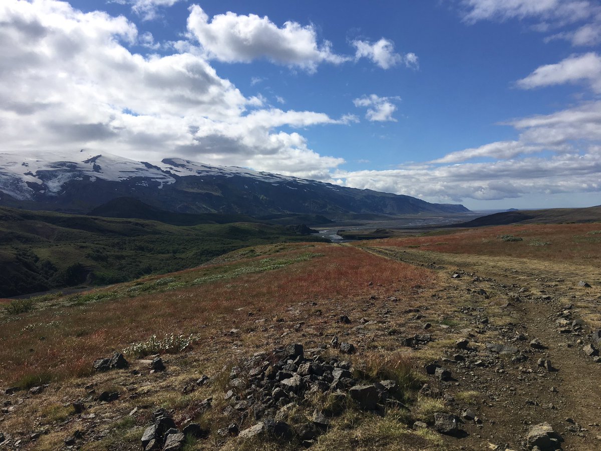 Gestsson tweet media